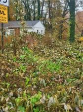 MLS #7303672 image #3