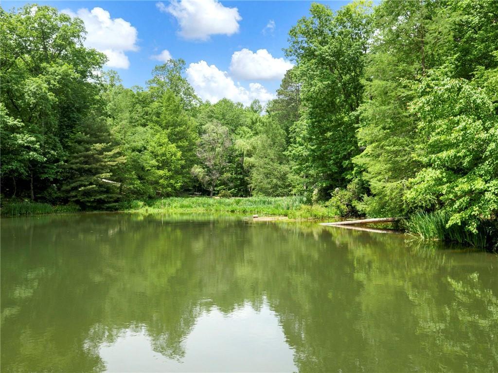 MLS #7308183 image #64