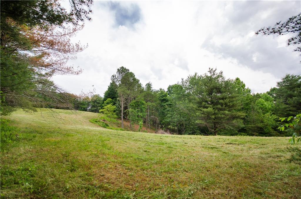 MLS #7308183 image #67