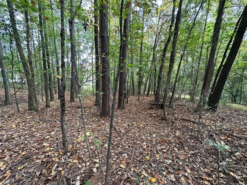 MLS #7315127 image #1