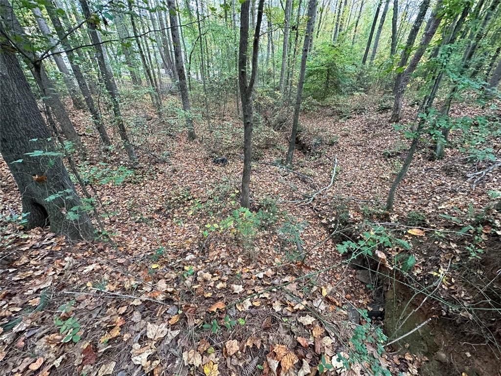 MLS #7315127 image #3