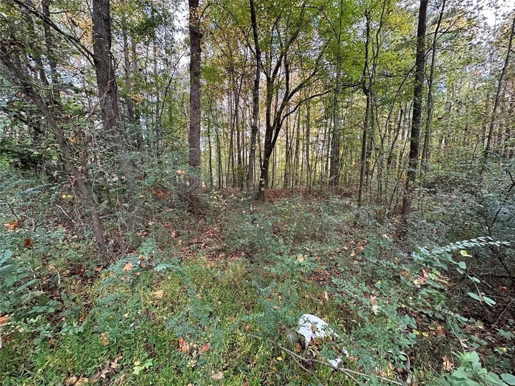 MLS #7315127 image #4