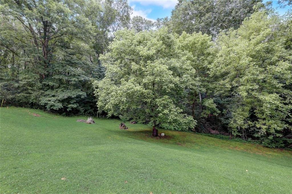 MLS #7318326 image #31