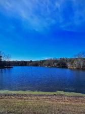 MLS #7319215 image #1