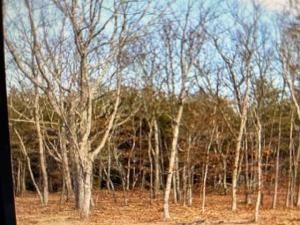 MLS #7319215 image #8