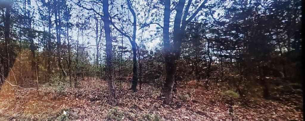 MLS #7322282 image #0