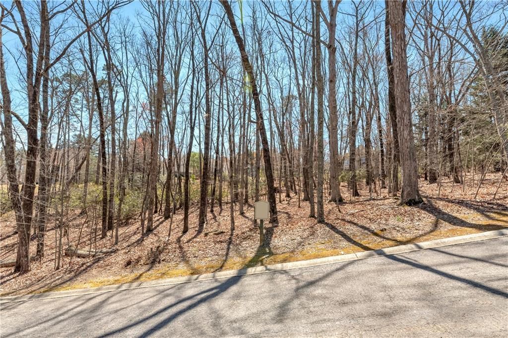 MLS #7328428 image #10