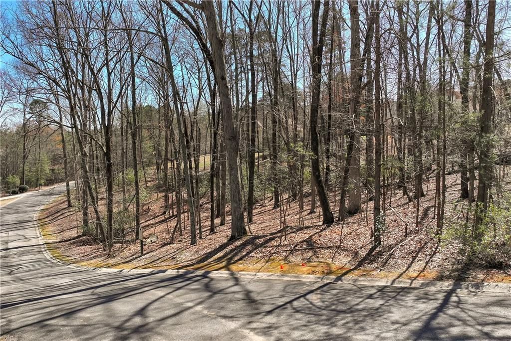 MLS #7328428 image #2