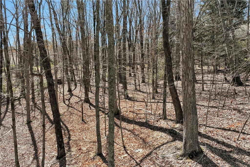 MLS #7328428 image #3