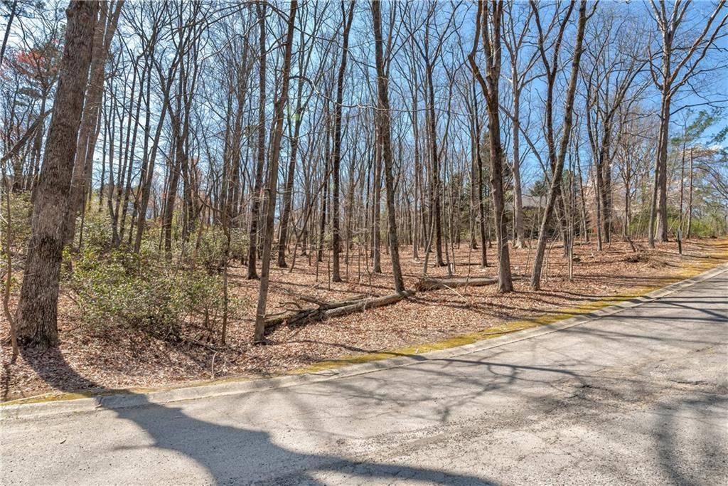 MLS #7328428 image #8