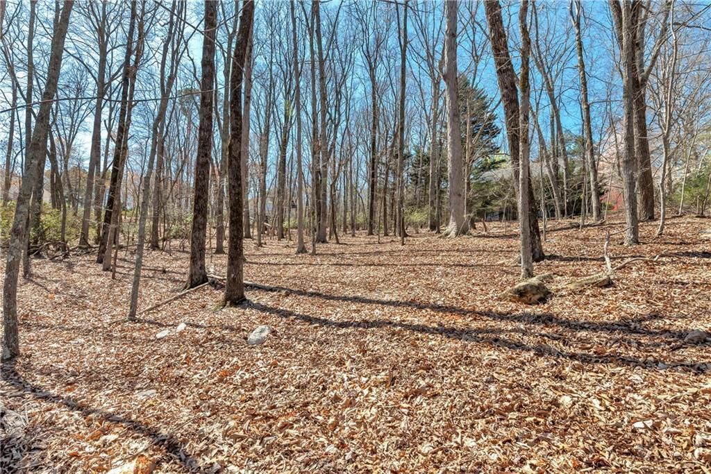 MLS #7328428 image #9