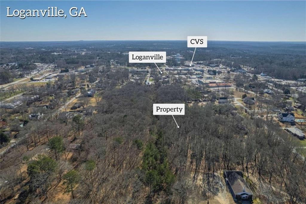 MLS #7333945 image #5