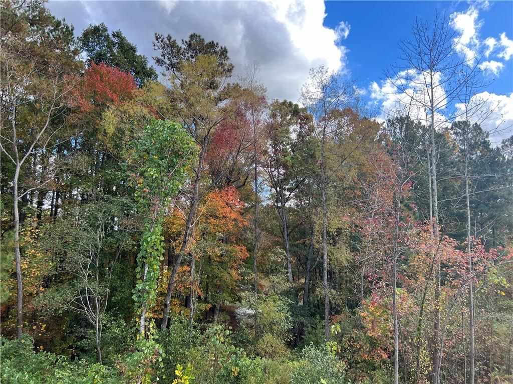 MLS #7348727 image #56