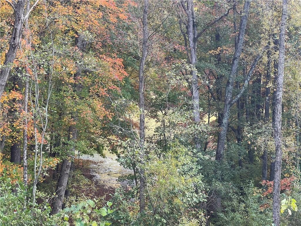 MLS #7348727 image #69