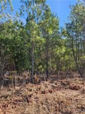 MLS #7350652 image #1