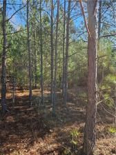 MLS #7350652 image #2