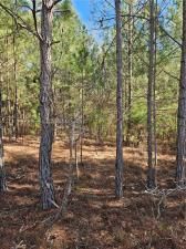 MLS #7350652 image #3