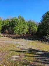 MLS #7350652 image #5