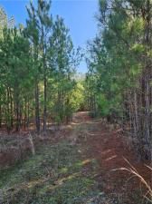 MLS #7350652 image #8