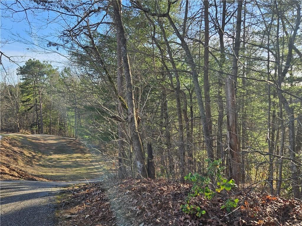 MLS #7351686 image #10