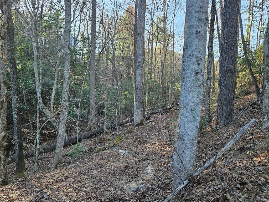 MLS #7351686 image #14