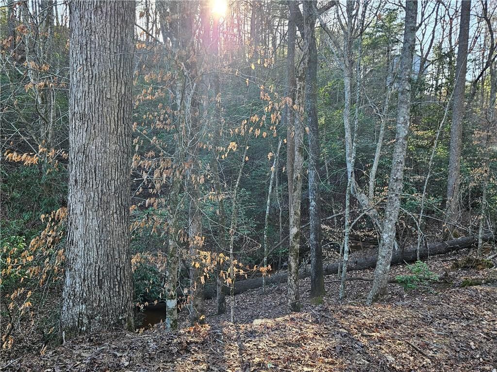 MLS #7351686 image #15