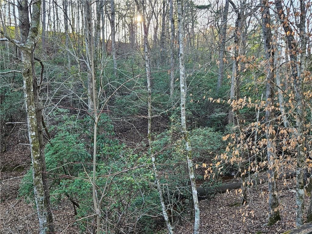 MLS #7351686 image #16