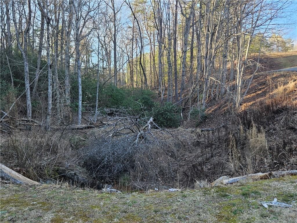 MLS #7351686 image #17