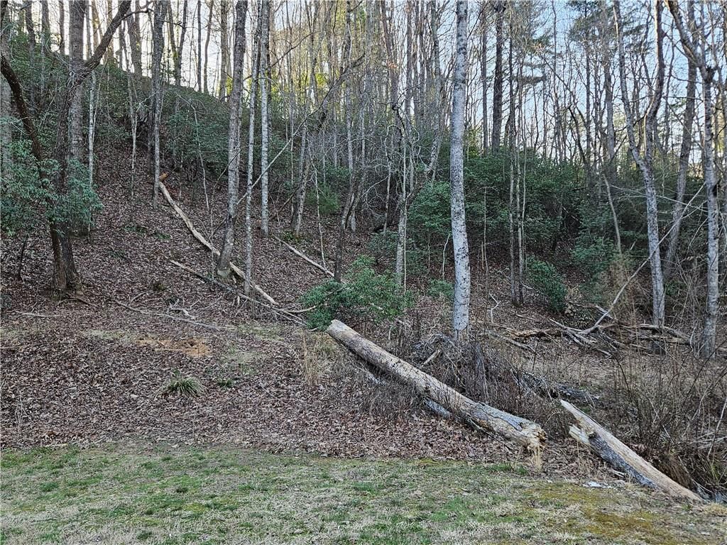 MLS #7351686 image #18