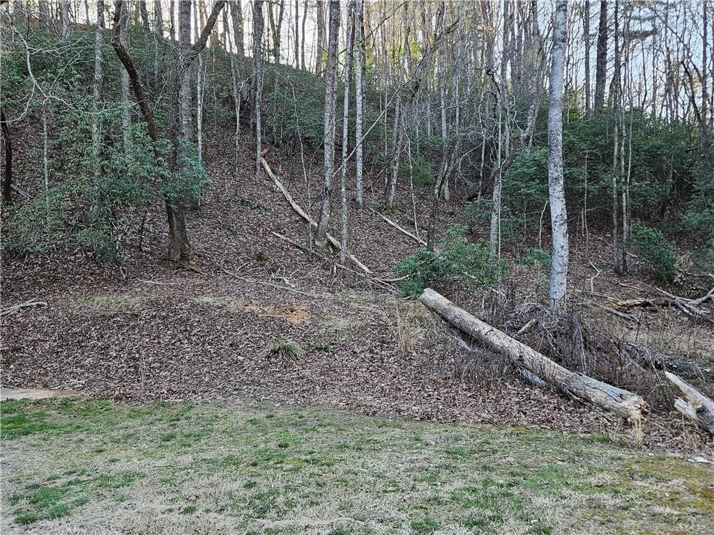 MLS #7351686 image #19