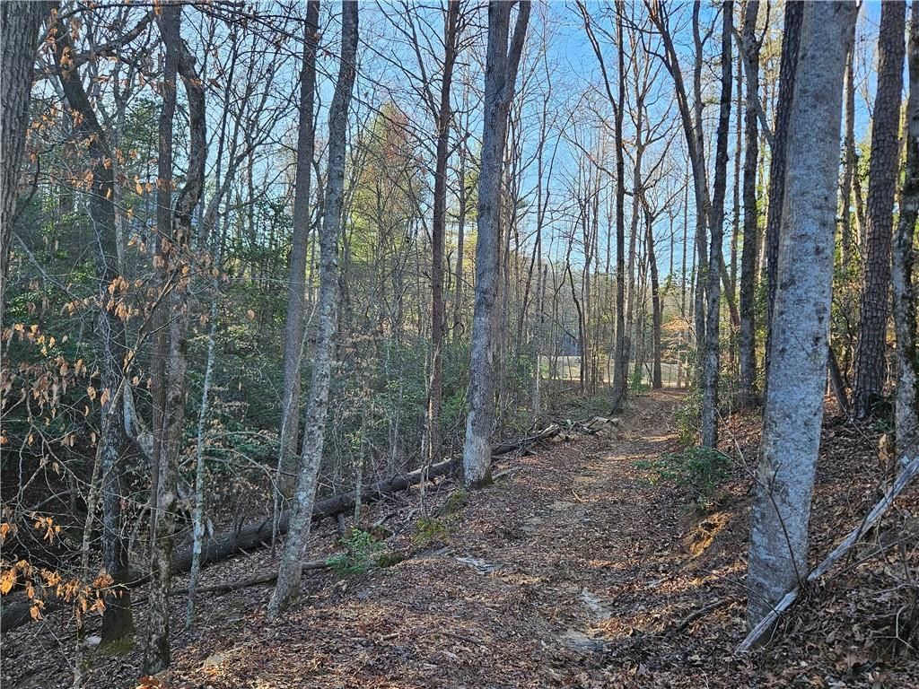 MLS #7351686 image #20