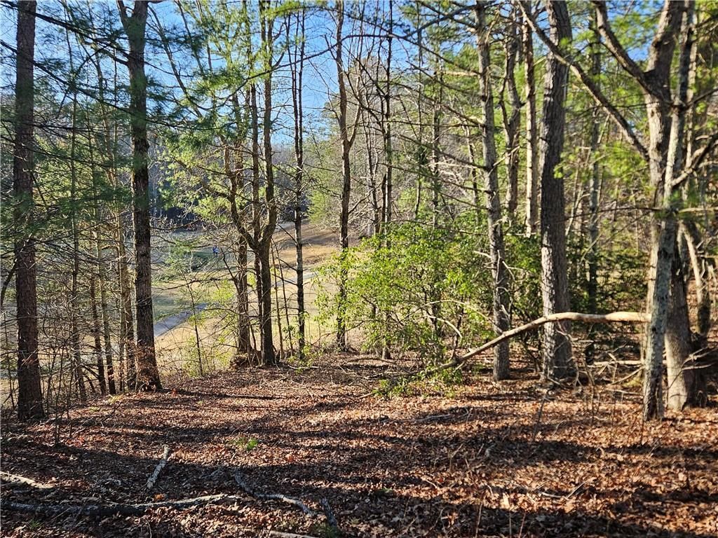 MLS #7351686 image #21