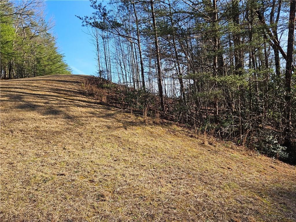 MLS #7351686 image #23