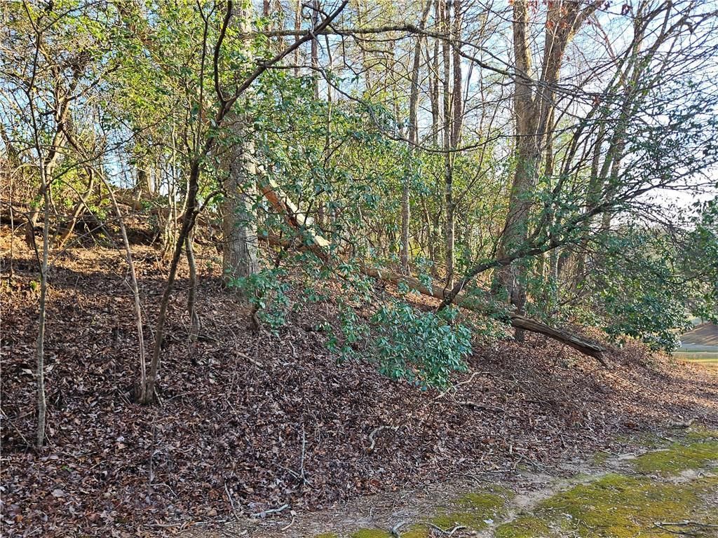 MLS #7351686 image #24