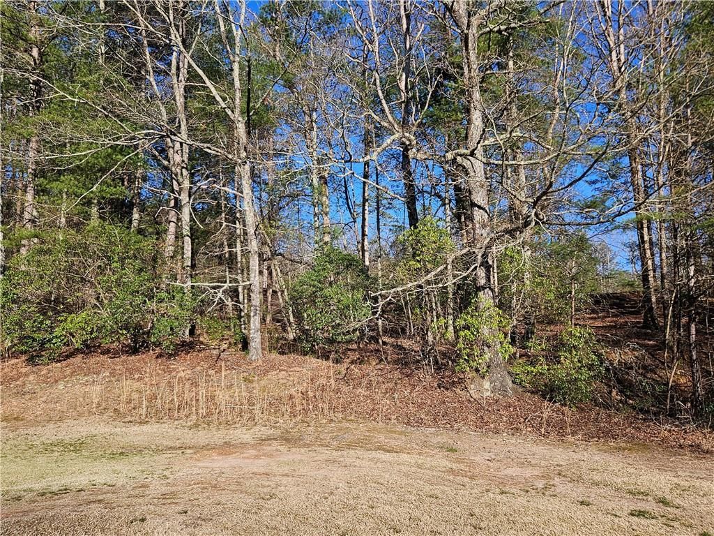 MLS #7351686 image #27