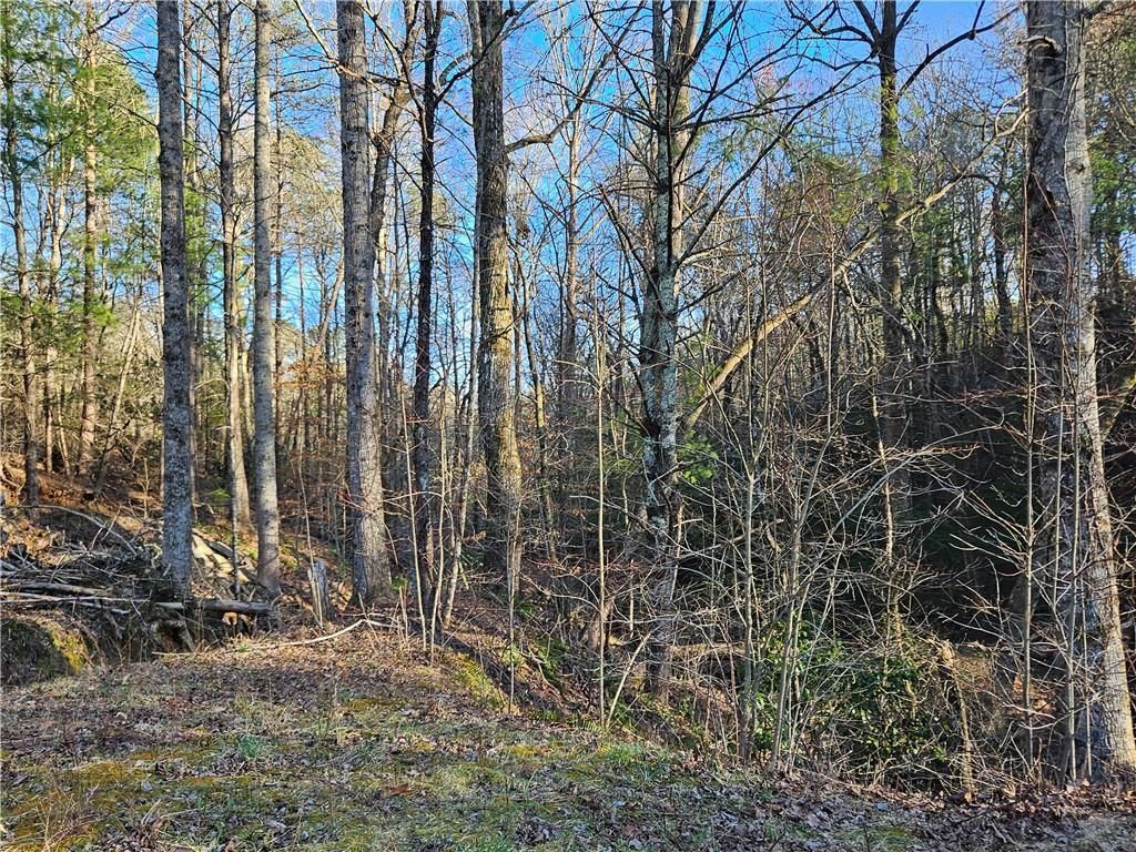 MLS #7351686 image #28