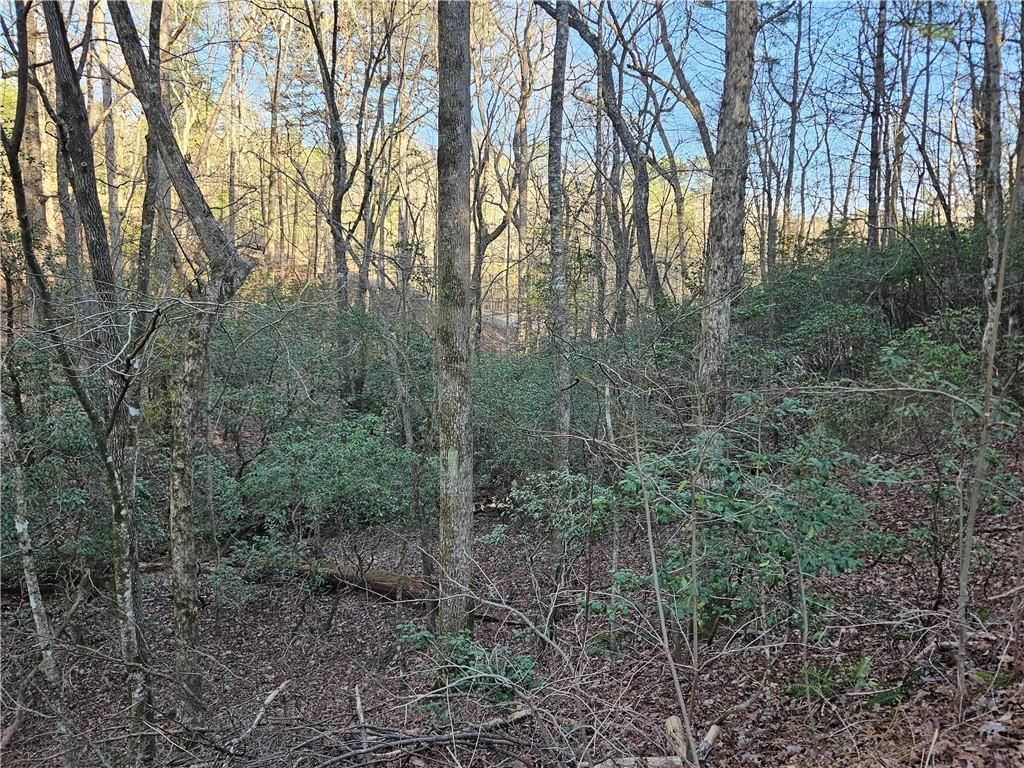 MLS #7351686 image #29