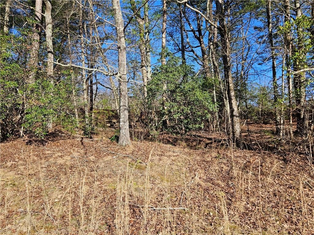 MLS #7351686 image #3