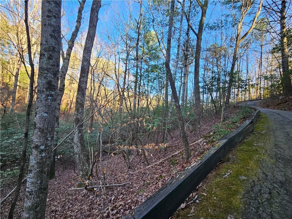 MLS #7351686 image #30