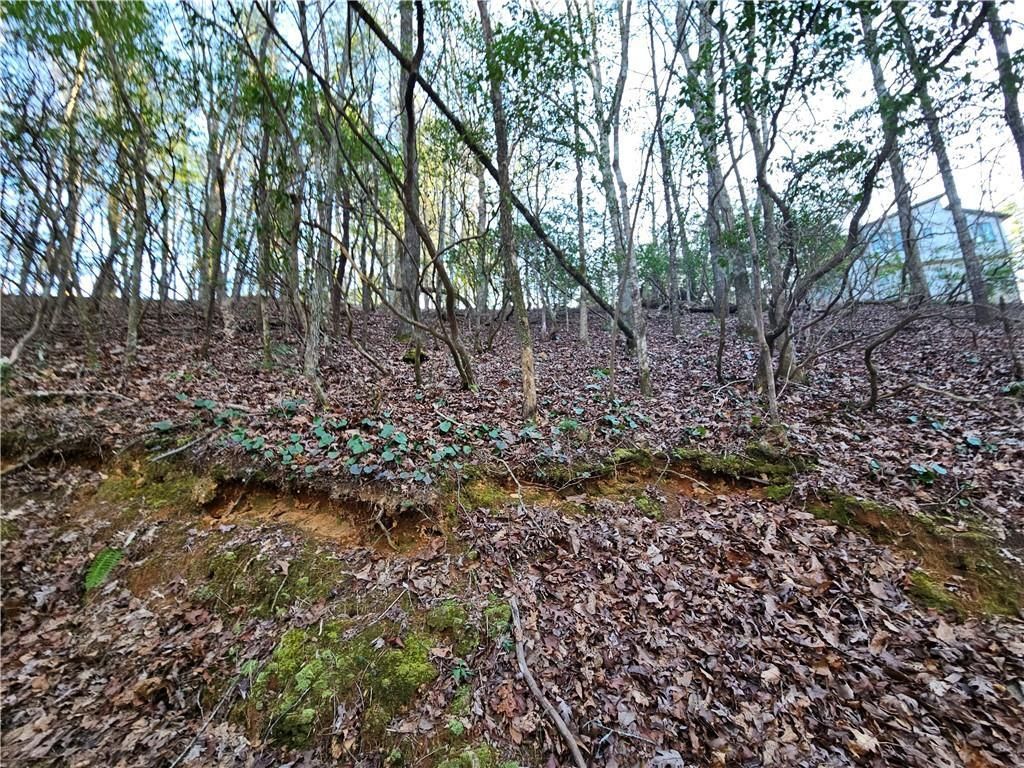 MLS #7351686 image #31