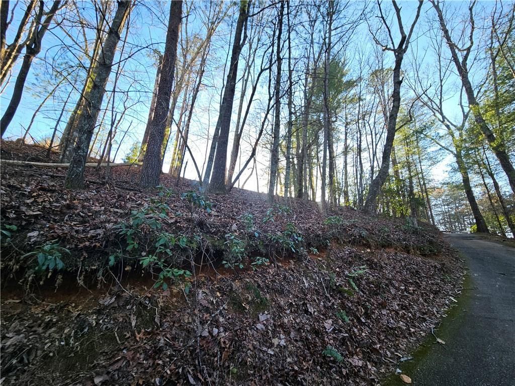 MLS #7351686 image #32