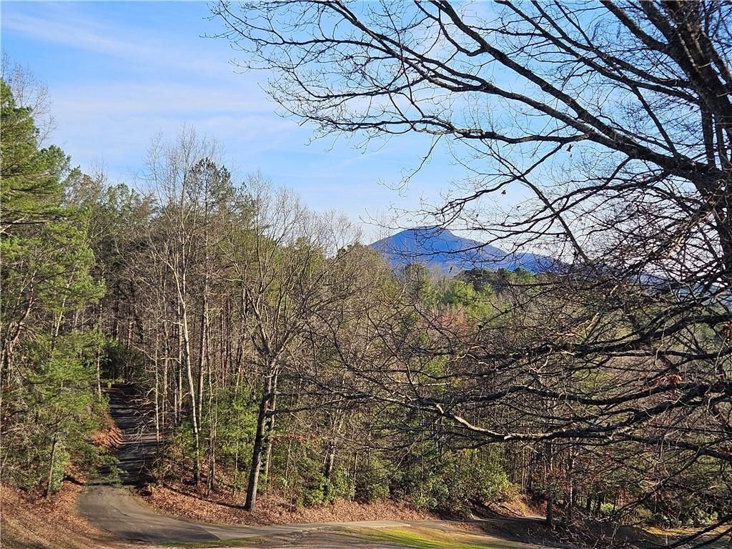 MLS #7351686 image #33