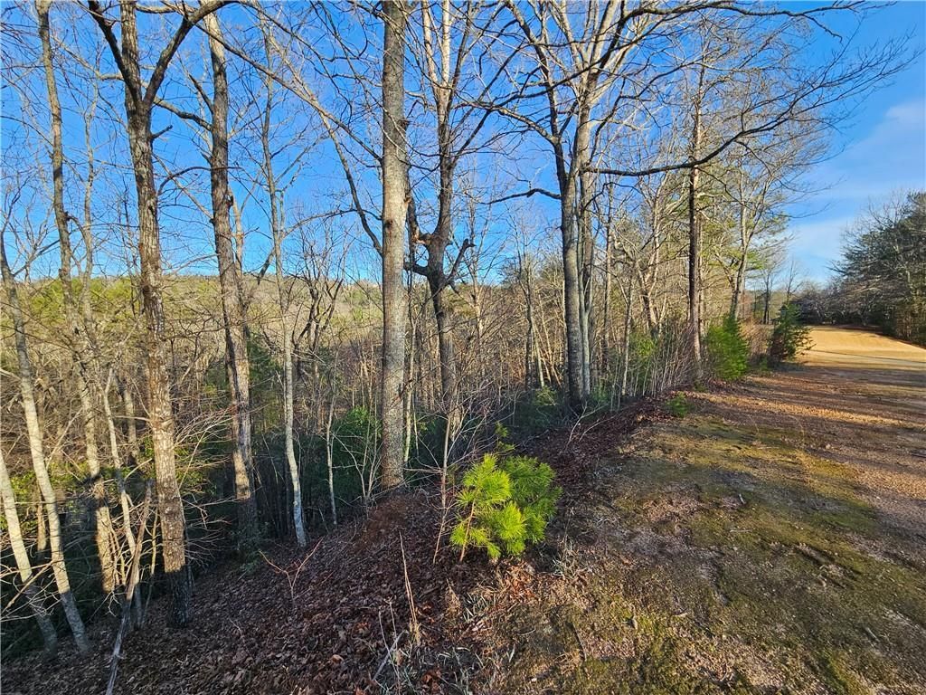 MLS #7351686 image #37