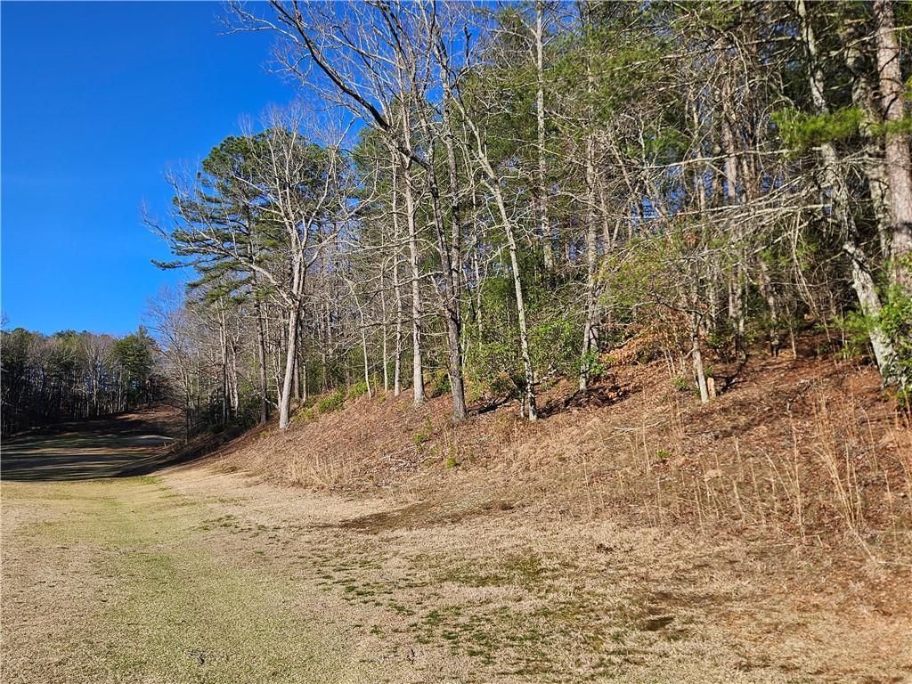 MLS #7351686 image #4