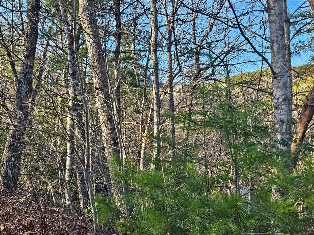 MLS #7351686 image #40