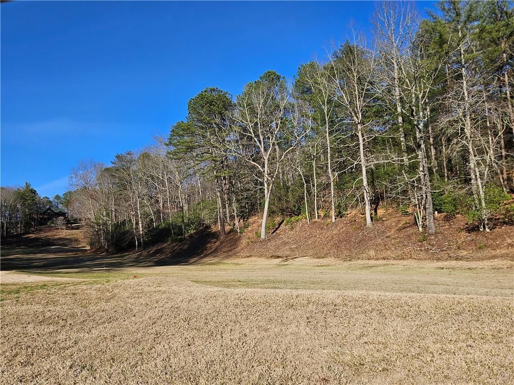 MLS #7351686 image #5