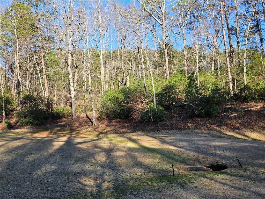 MLS #7351686 image #6