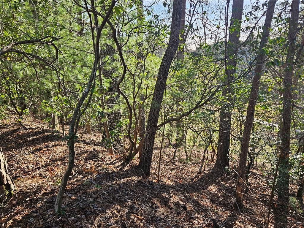 MLS #7351686 image #8