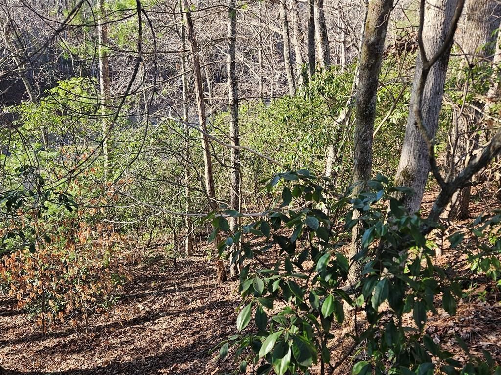 MLS #7351686 image #9