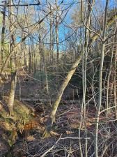 MLS #7351686 image #1